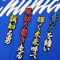 Amazon.co.jp: 中日ドラゴンズ 刺繍ワッペン 上林 誠知 背番号
